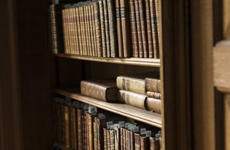 Howth Castle Library Bookshelf resized P Evers